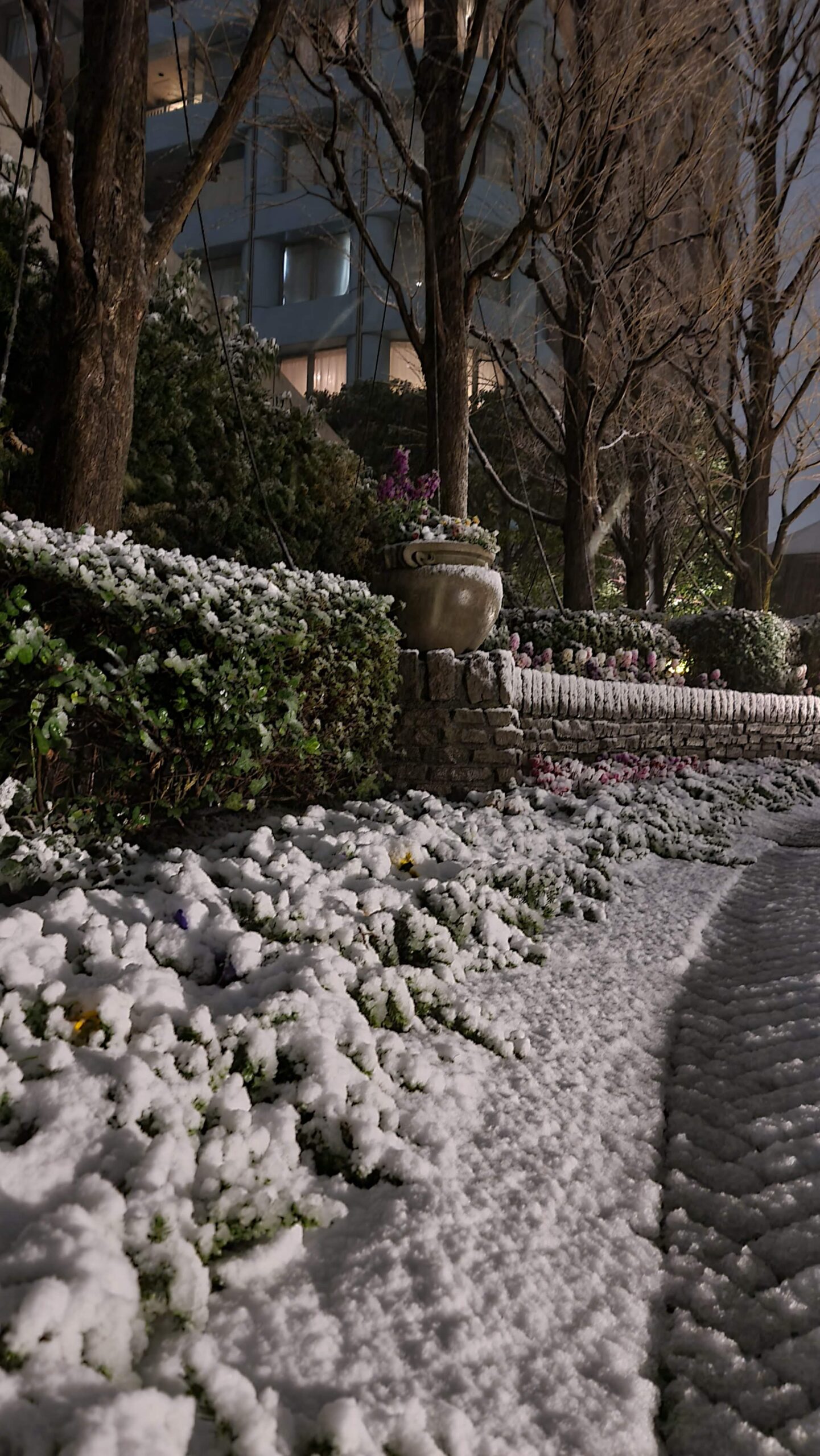 Conquering Winter in Tokyo: How to Stay Warm